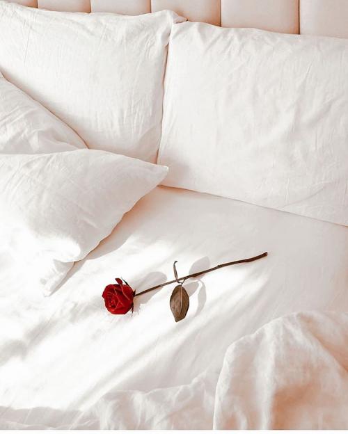 16:02:46 GMT-0600 (CST)