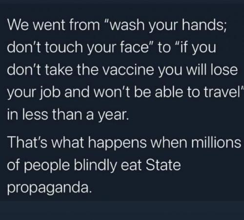 133840308_10214005855779671_3668299095156021698_o