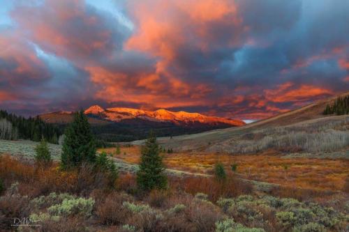 129296460_2120469424750717_8454629817459211454_o