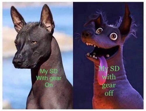 11:45:21 GMT-0700 (MST)