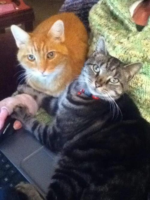 16:24:24 GMT-0500 (EST)