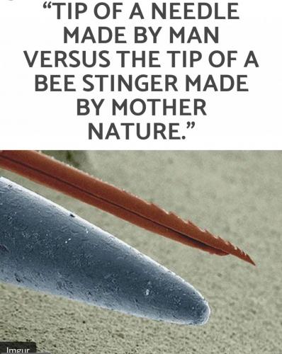 20:30:25 GMT-0500 (EST)