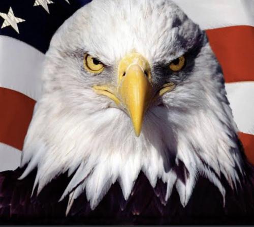 01:49:11 GMT+0100 (WAT).image