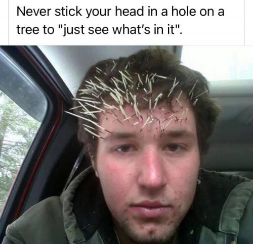 128526236_4024288150932817_3029944548288072704_n