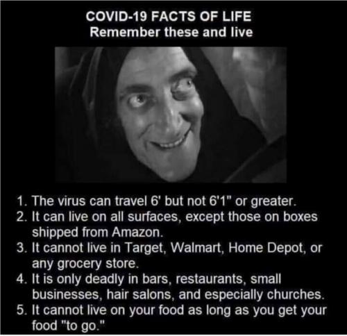 Covid19Facts12-20