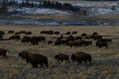 tumblr_de15b383d21932dc31e434077904b019_48b50be2_540