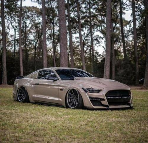 129492473_2890822851020343_3115610167071409193_o