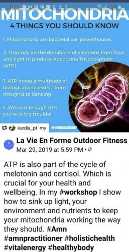 08:25:54 GMT-0600 (CST).image