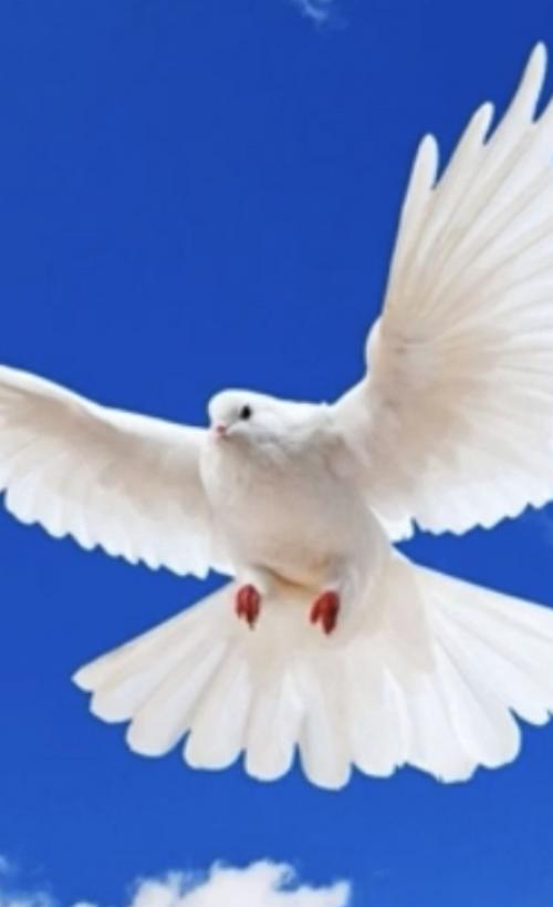 06:35:49 GMT-0600 (CST).image