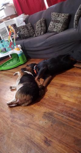 10:37:27 GMT-0800 (PST)