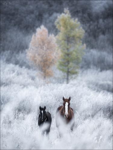 tumblr_60149743ce49f4c3eec559ab95e612c8_9d70eaa3_1280