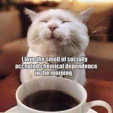 03:36:09 GMT-0600 (CST)