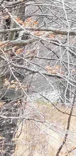 18:43:35 GMT-0500 (EST)