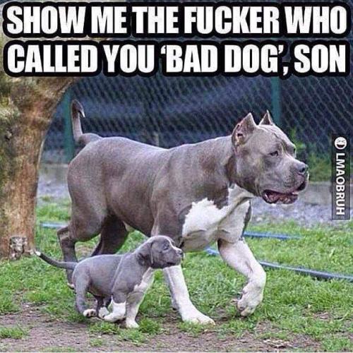 46799509_2087983487933788_8164484773859819520_n