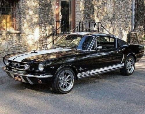 128963292_4007389309344930_2060273375686848154_n