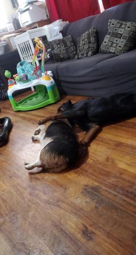 10:37:27 GMT-0800 (PST)