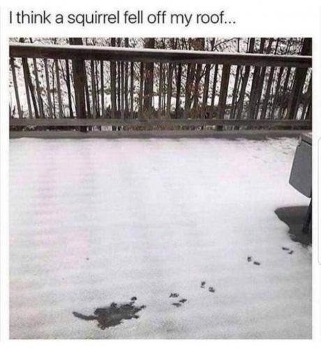 21:42:44 GMT-0800 (PST).image