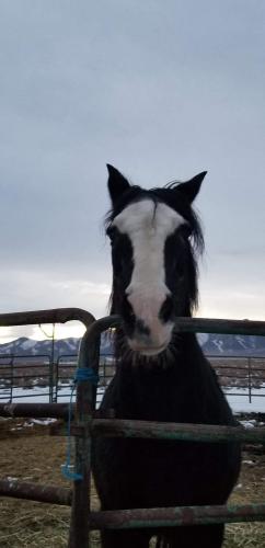 09:54:19 GMT-0800 (PST).image