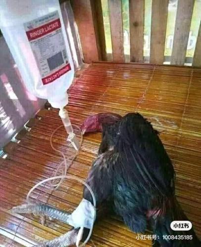 21:00:34 GMT+0100 (WAT).image