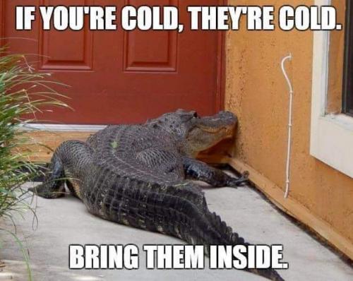 19:43:50 GMT-0500 (EST)