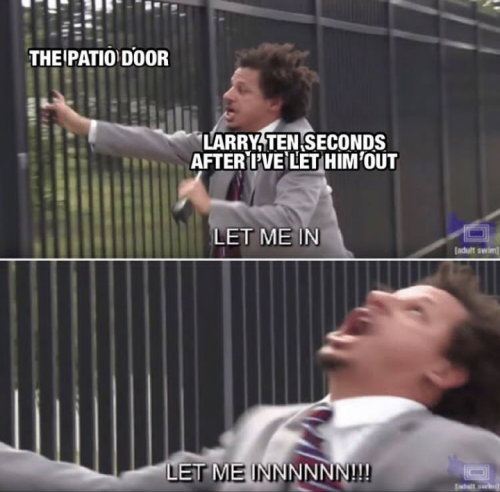 17:09:02 GMT+0100 (WAT).png