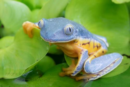 131221210_3381235941988258_2569071017244301295_o