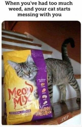 18:27:15 GMT-0600 (CST)