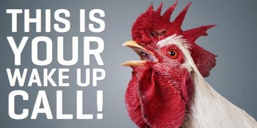 03:09:38 GMT-0500 (EST).image