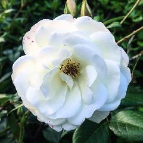 17:57:10 GMT+0100 (WAT)