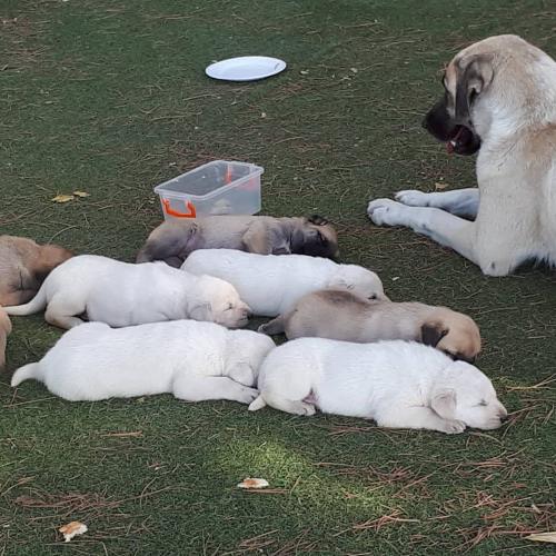 21:41:33 GMT+0100 (WAT)