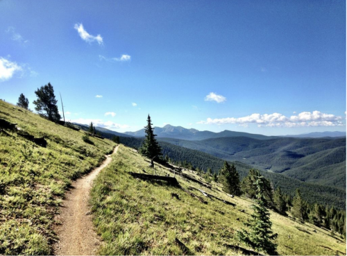 Screen Shot 2020-12-14 at 12.10.41 AM