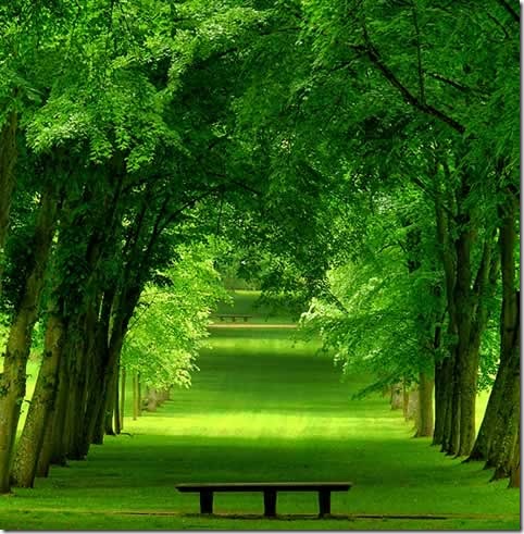 14:03:31 GMT-0500 (EST)