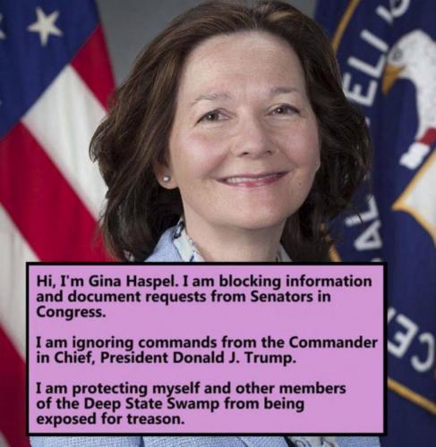 gina haspel00