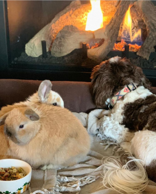 10:41:53 GMT+0100 (WAT).png