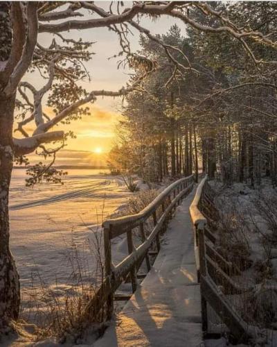 07:52:22 GMT-0600 (CST)