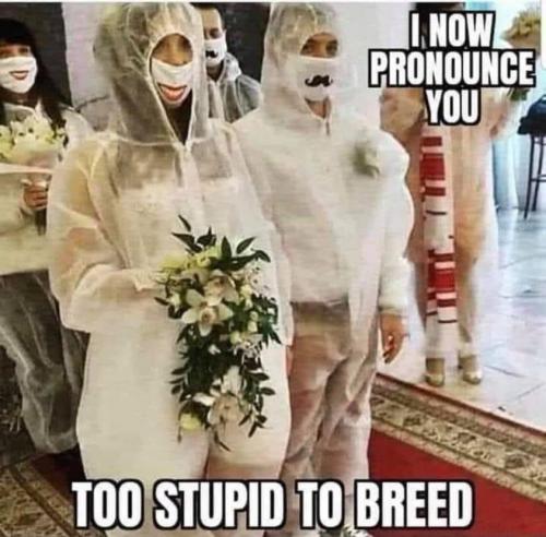 11:51:14 GMT-0800 (PST).image