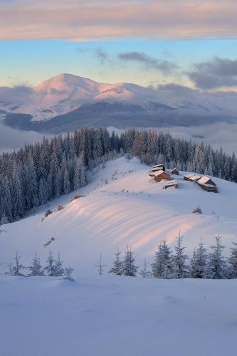 tumblr_f8d7e6c7c617be5c1388794f660abf53_b032c6b5_500