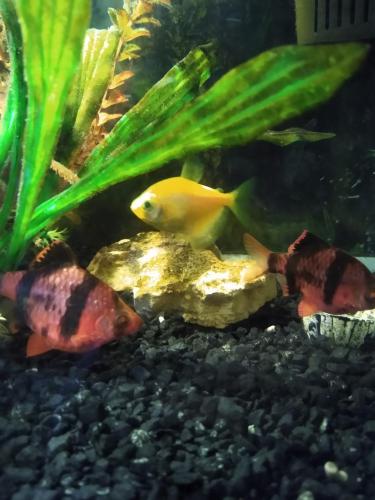 05:18:34 GMT-0600 (CST)