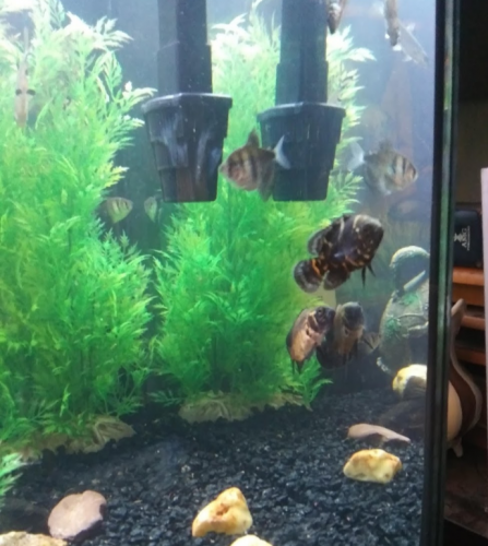 05:30:24 GMT-0600 (CST)