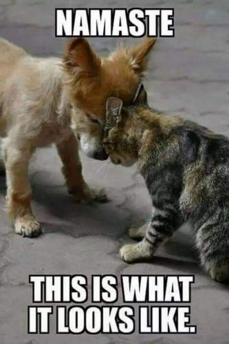 20:06:45 GMT-0500 (EST)