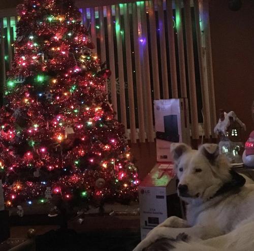 21:36:30 GMT-0500 (EST).image