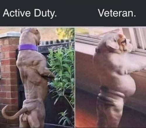 14:27:29 GMT-0700 (MST).image