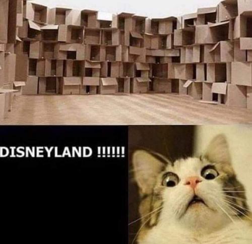 22:04:16 GMT-0700 (MST)