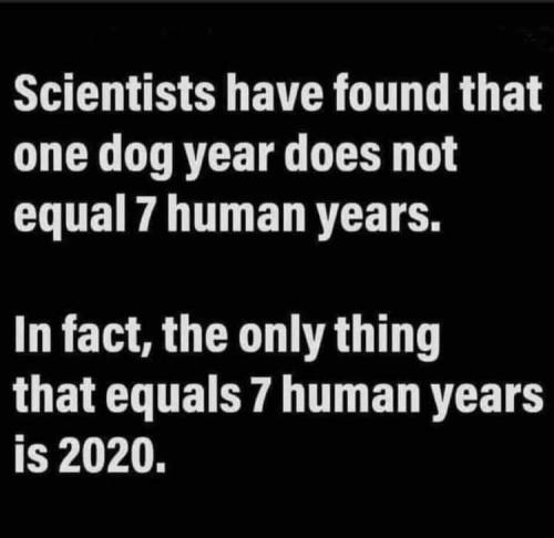 16:54:46 GMT-0500 (EST)