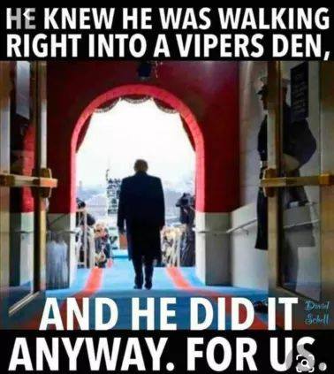 QVZleFVqTGVhX0ltVk1acg