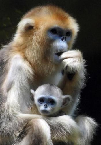 tumblr_51267f732588b4a9fa2ae17246b1df19_0fe874ca_500