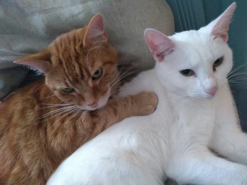 08:17:14 GMT-0500 (EST)