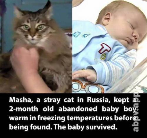 07:05:30 GMT-0600 (CST).image