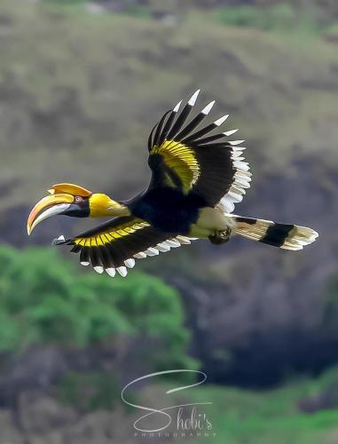 131181155_1045236679308960_6948755826844679893_o