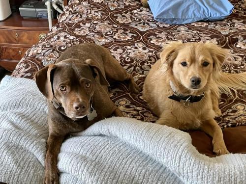 73BB67A7-0B6B-408A-B970-FBE2ECA9393F